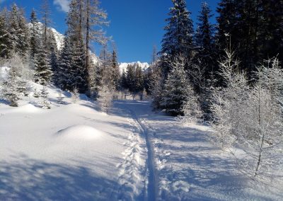 Technika výstupu skialpinistu